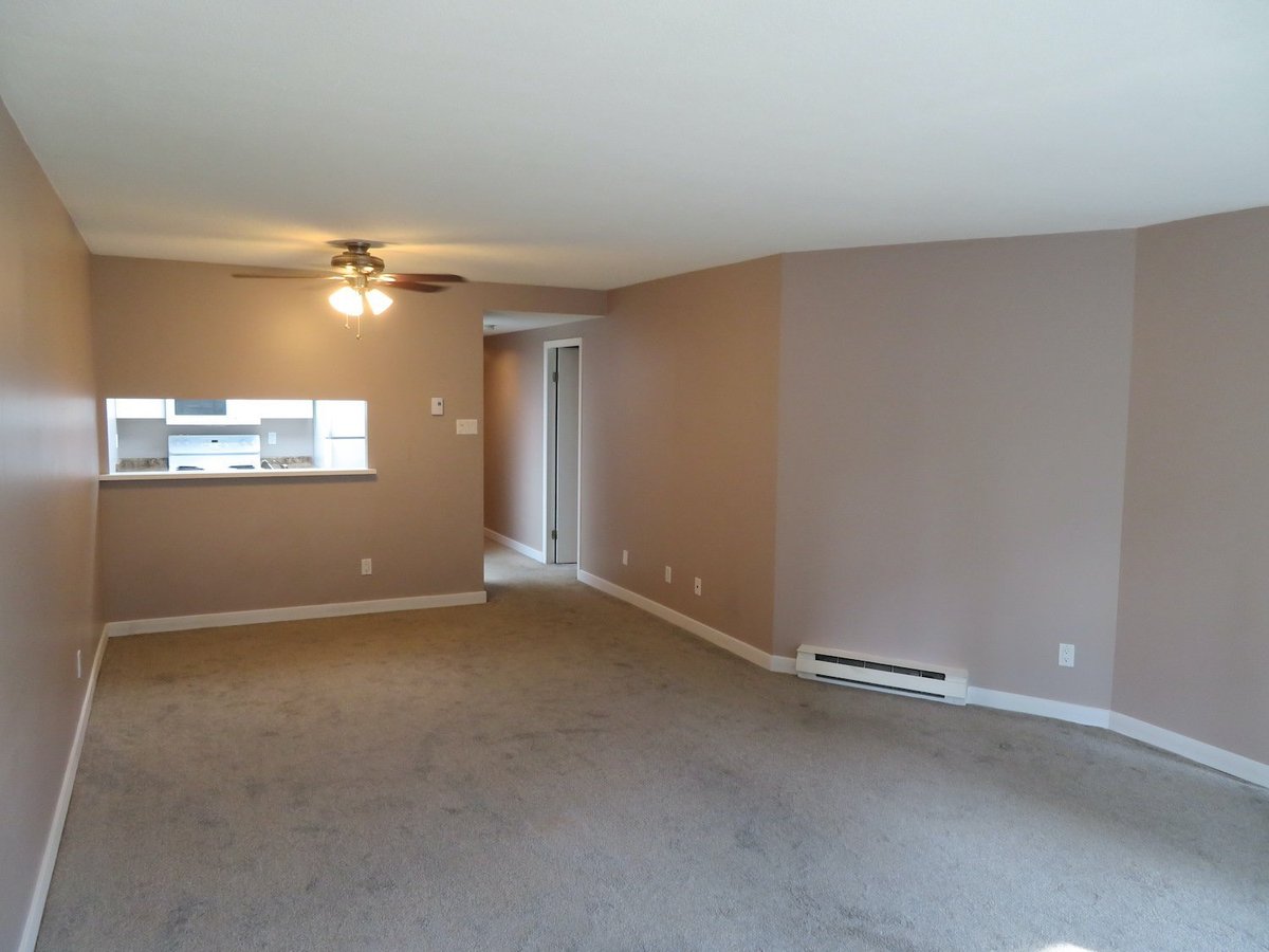 431 Pacific Street - Photo 3