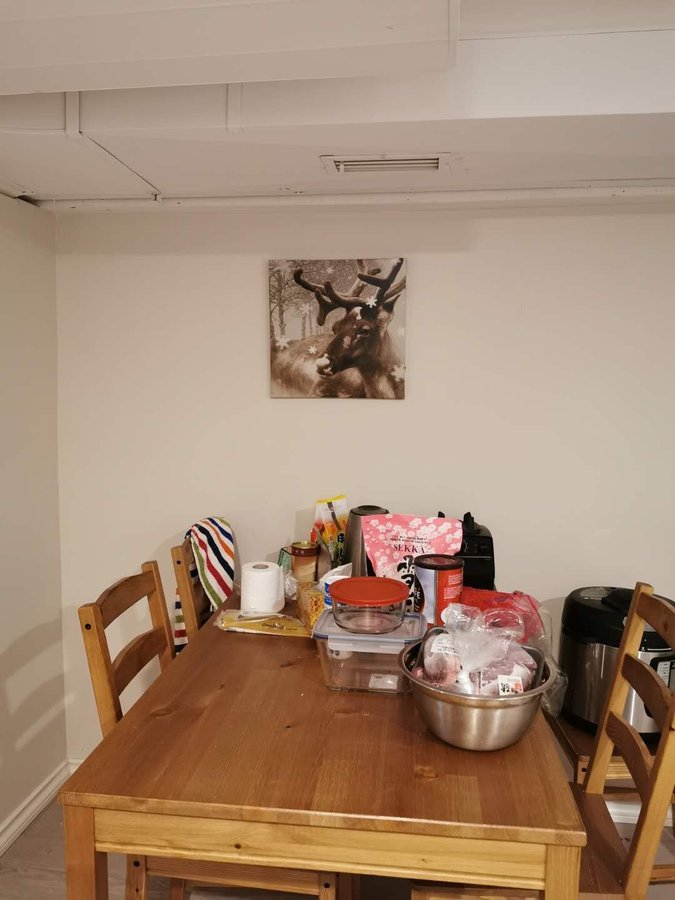 Hudson Street - Photo 5