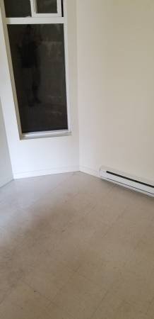 228 East Pender Street - Photo 4