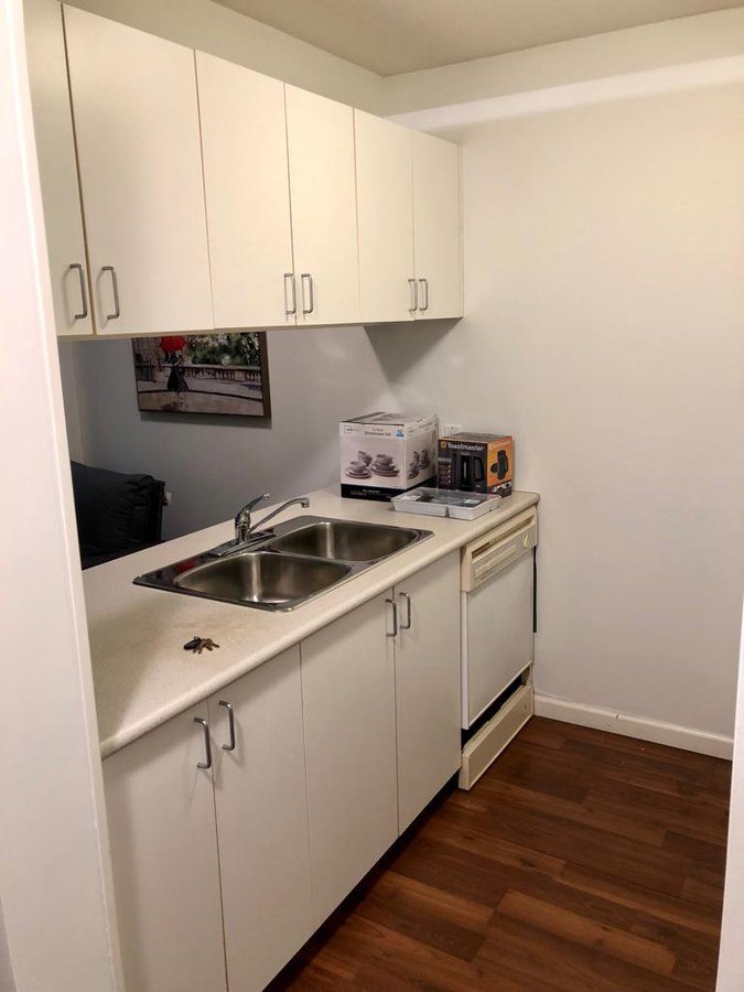 438 Seymour Street - Photo 12