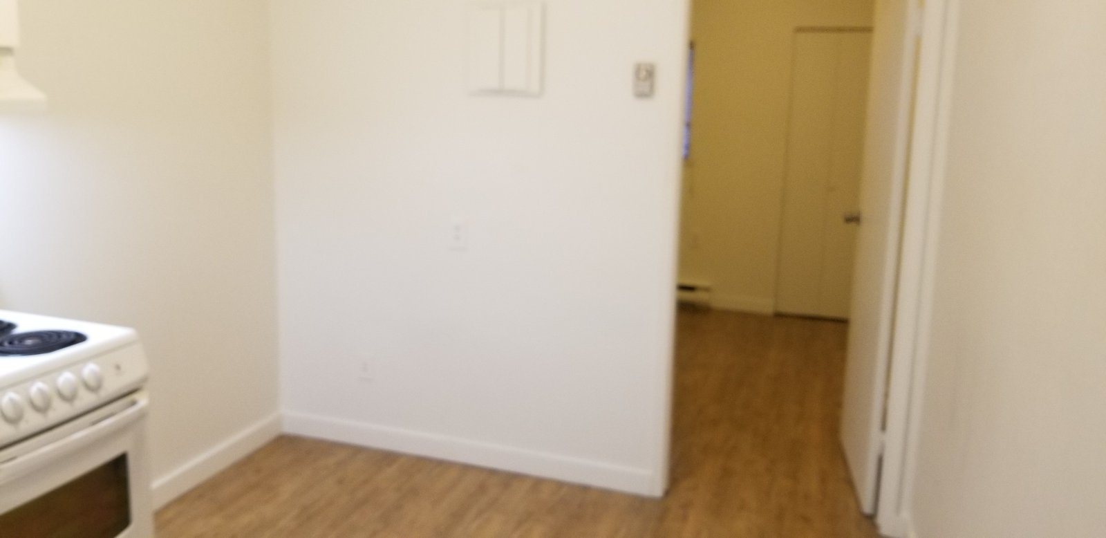 249 East Georgia Street - Photo 5