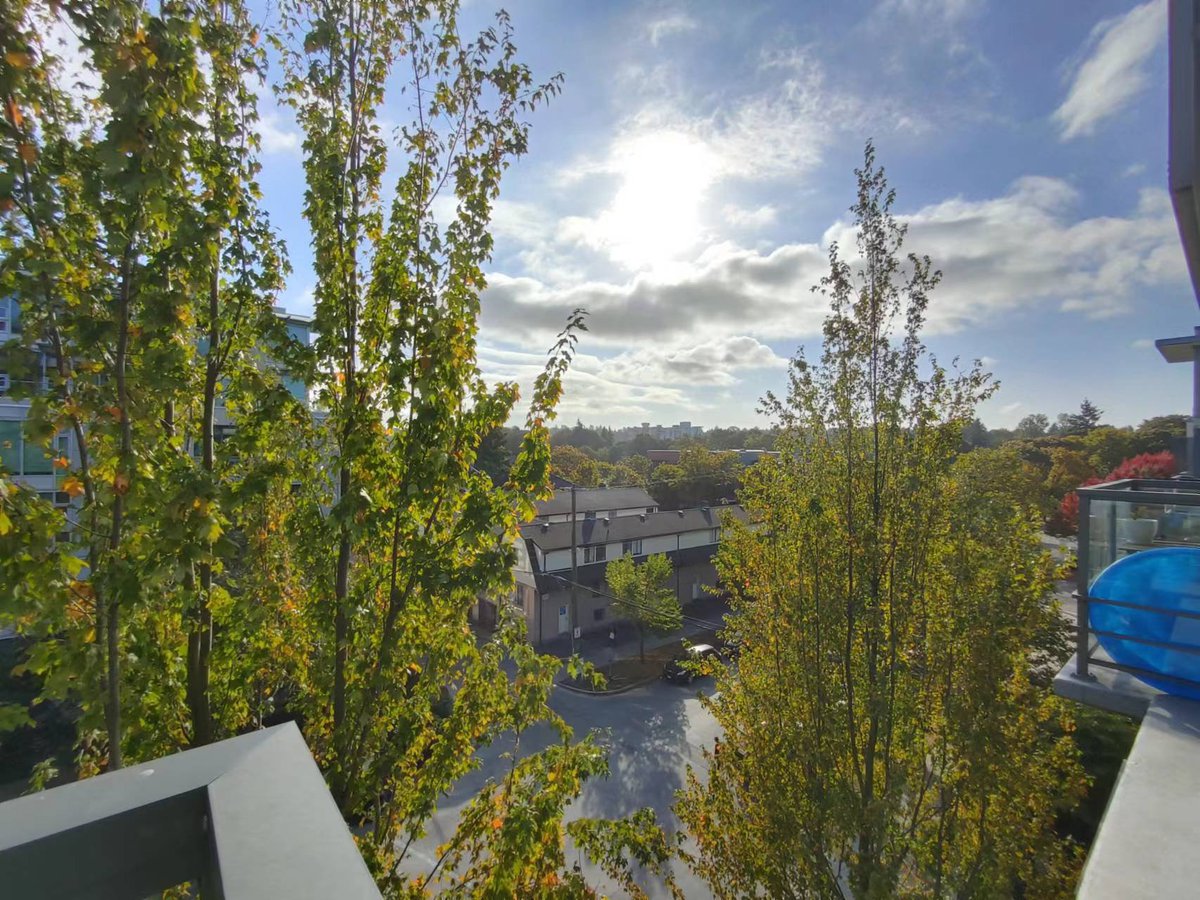 Rentals.ca ) Kitsilano Vancouver Apartments, Condos and Houses For Rent