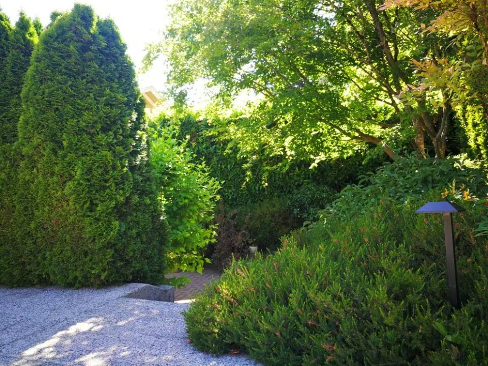 4070 Rose Crescent - Photo 3