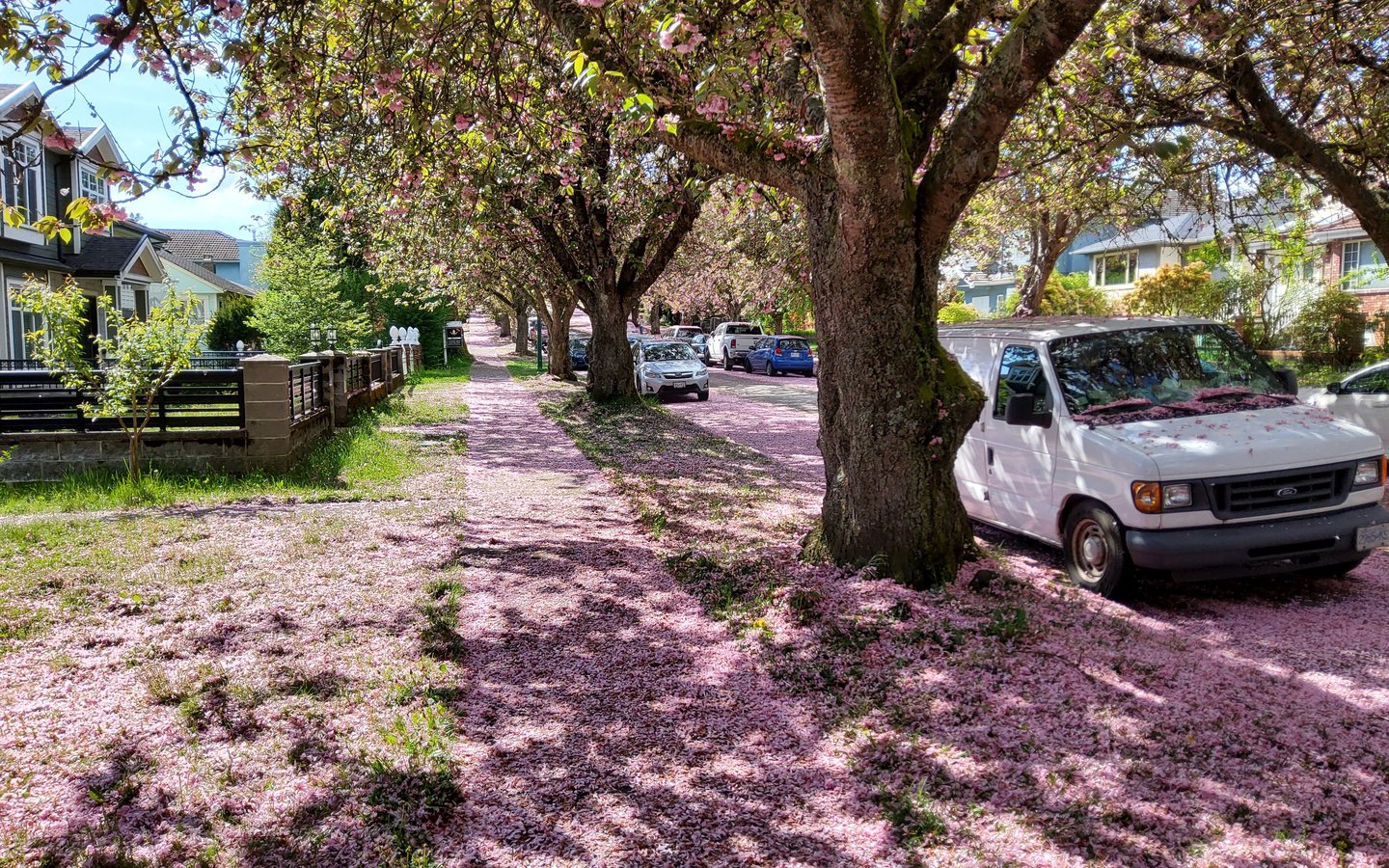 3070 East 7th Avenue - Photo 39