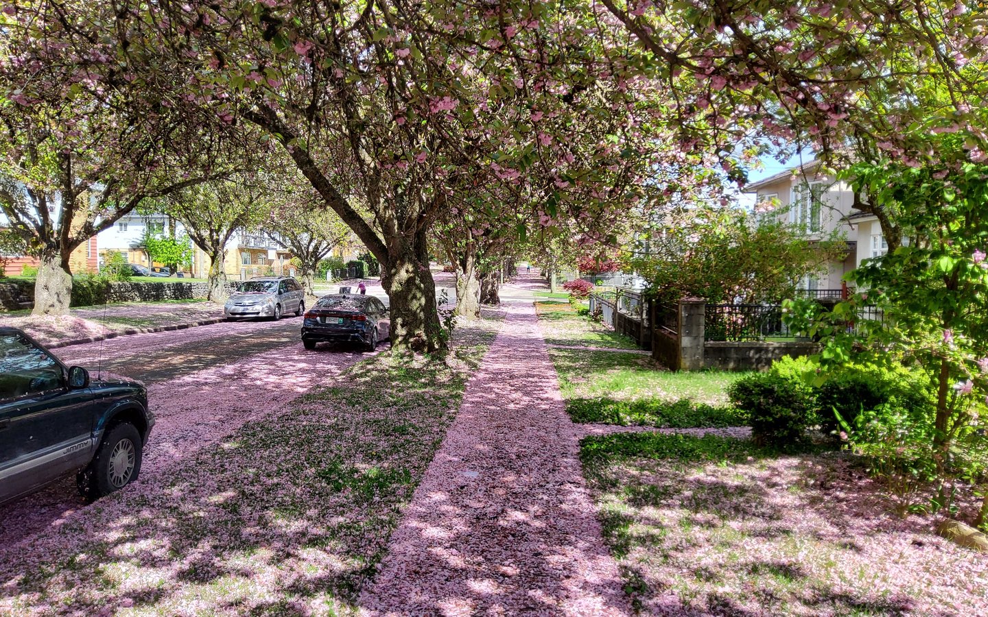 3070 East 7th Avenue - Photo 38