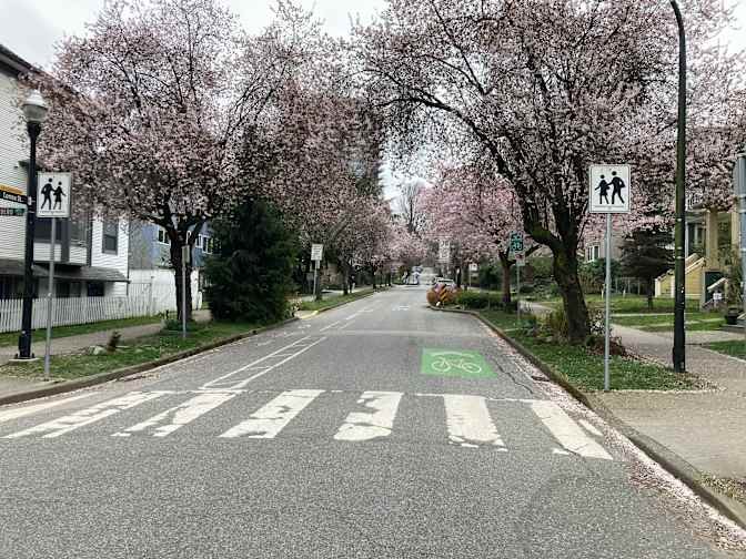 Comox Street - Photo 31