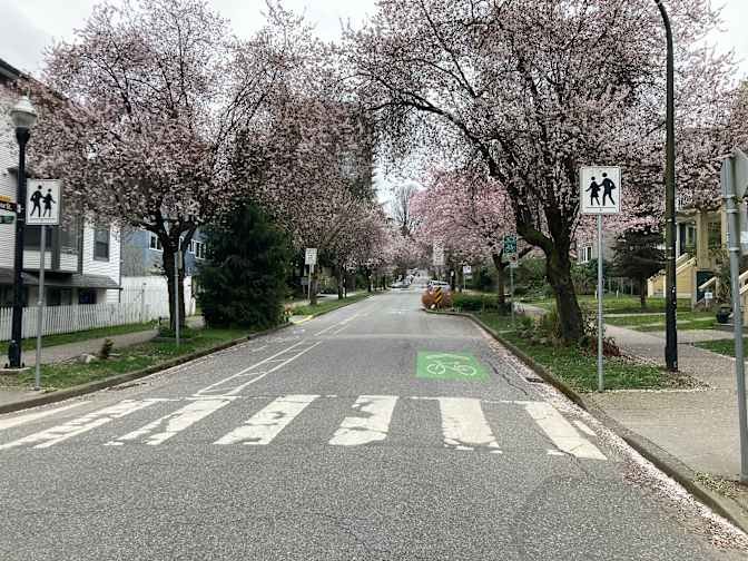 Comox Street - Photo 130