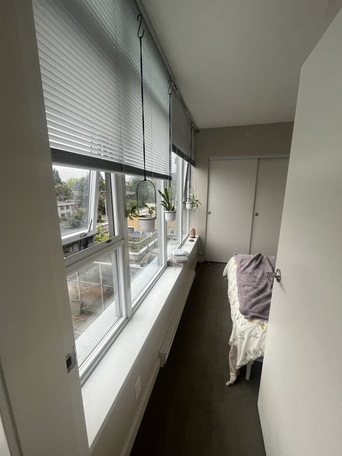 Mount Pleasant - Photo 5