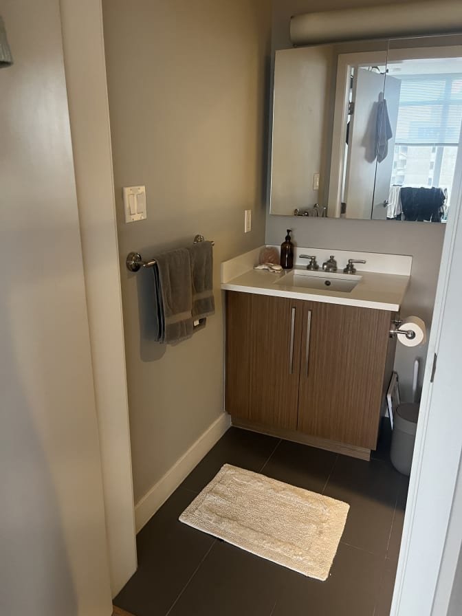 Mount Pleasant - Photo 7