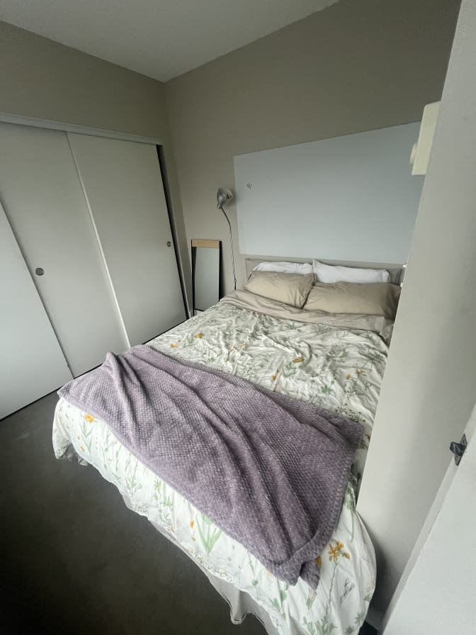 Mount Pleasant - Photo 8