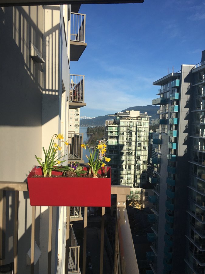 1251 Cardero Street - Photo 3
