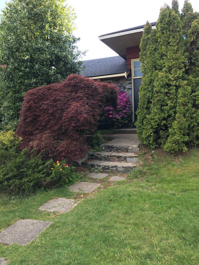 Tisdall Street - Photo 10
