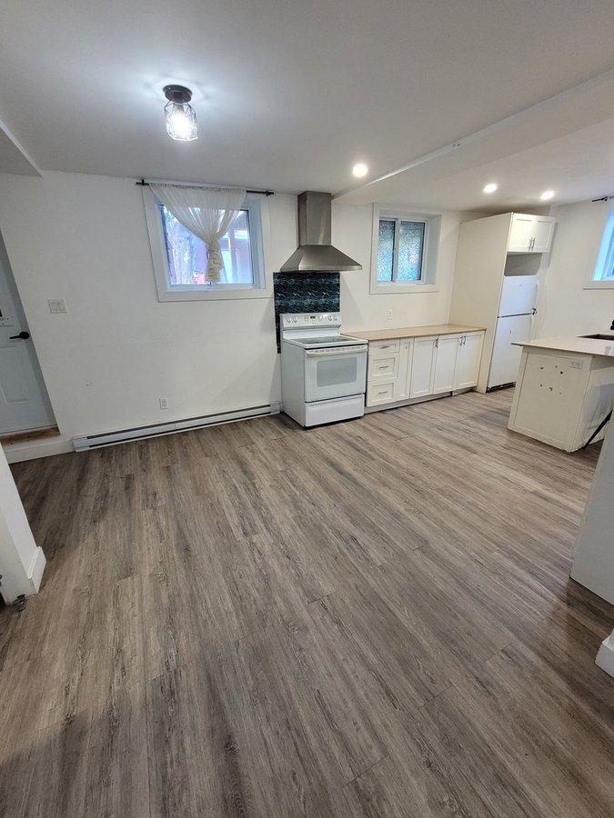 227 Rue Lalonde - Photo 2