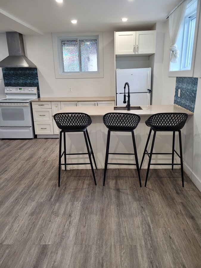 227 Rue Lalonde - Photo 4