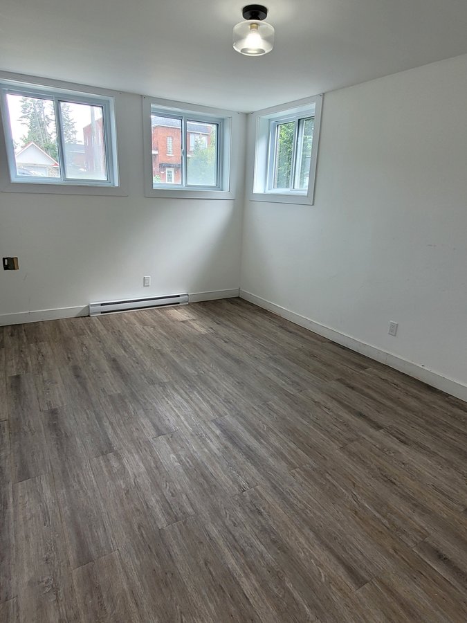 227 Rue Lalonde - Photo 6