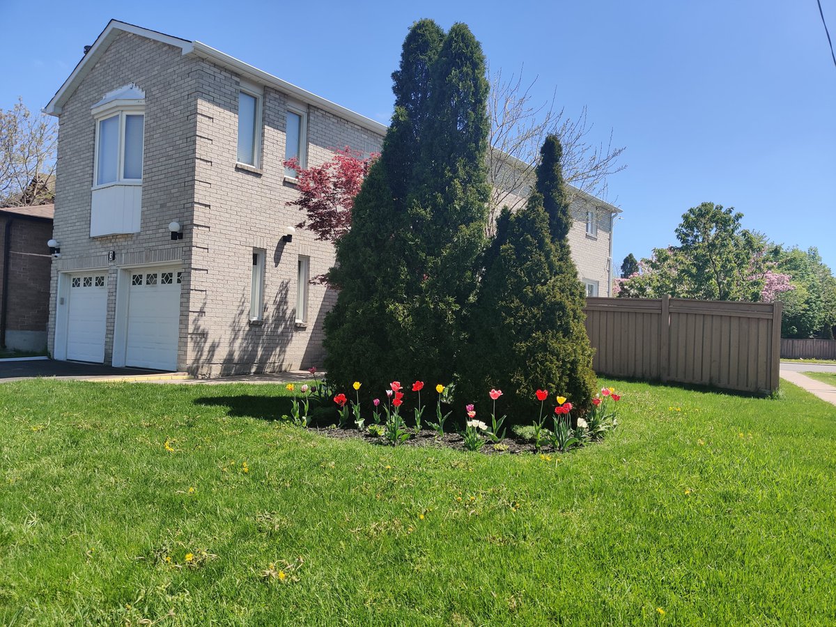 Vaughan ON Basement Apartments for Rent