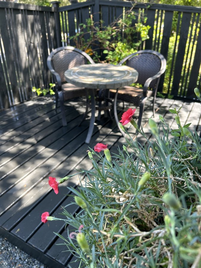 1509 Brooke Street - Photo 16