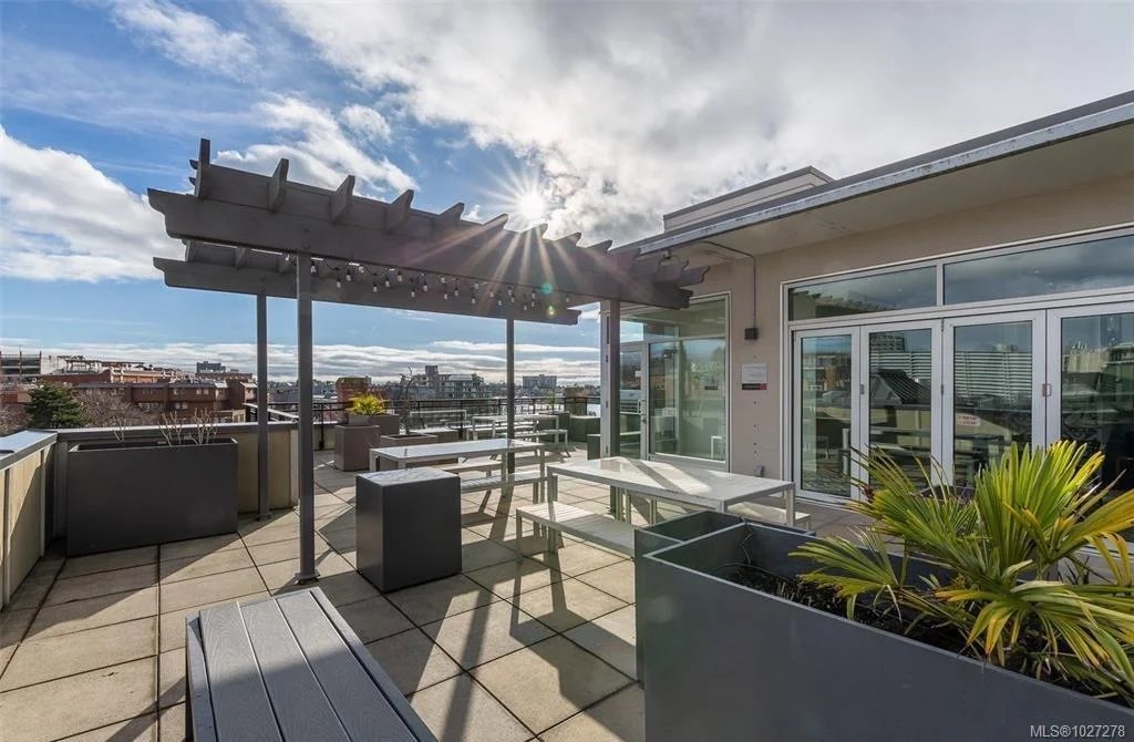 456 Pandora Avenue - Photo 11