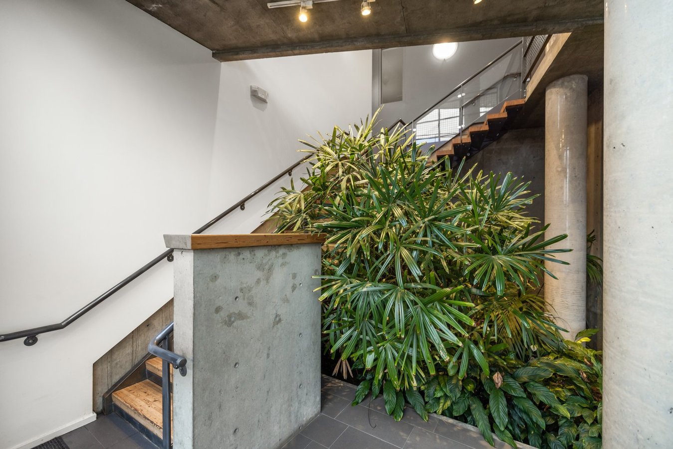 409 Swift Street - Photo 14
