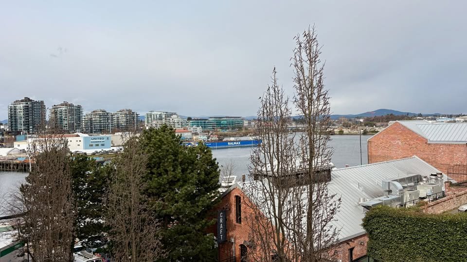 409 Swift Street - Photo 15