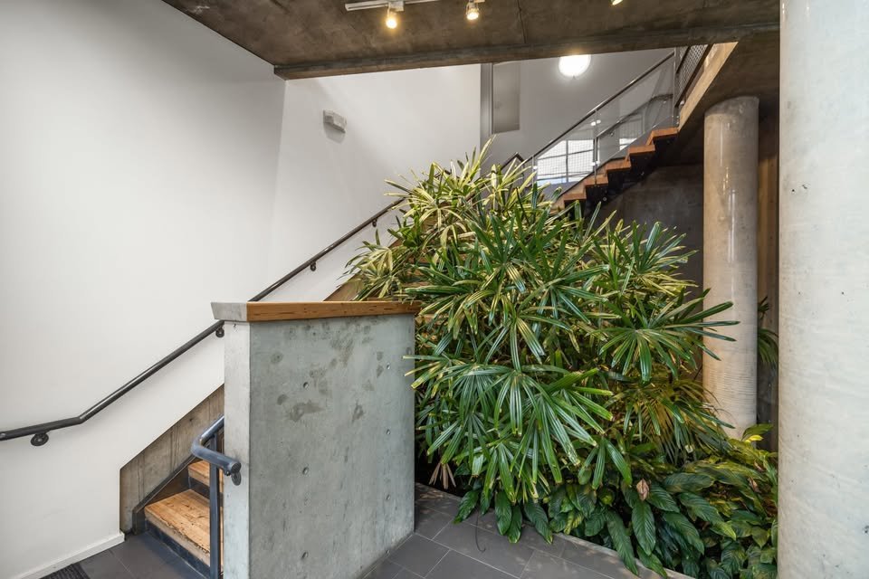 409 Swift Street - Photo 17