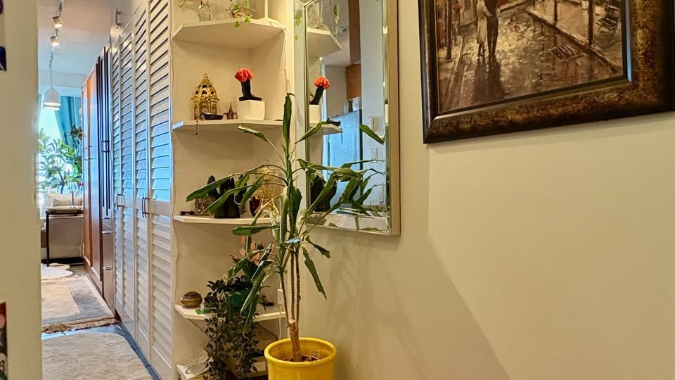 409 Swift Street - Photo 8