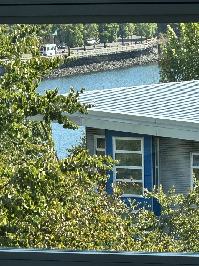 797 Tyee Road - Photo 10