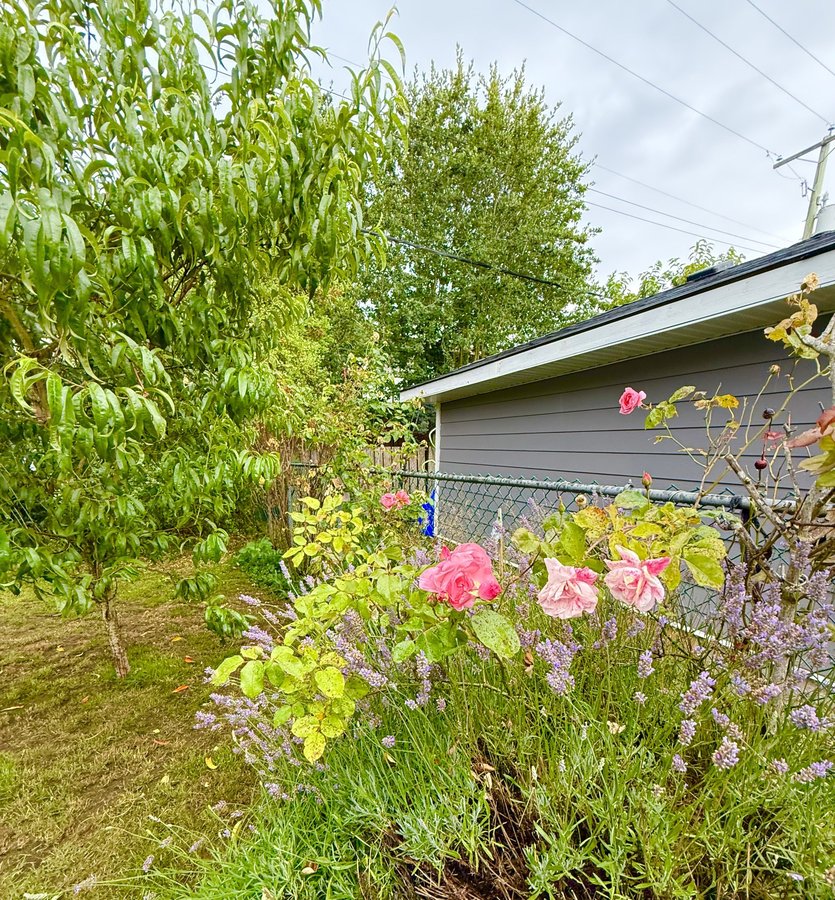 1809 Laval Avenue - Photo 17