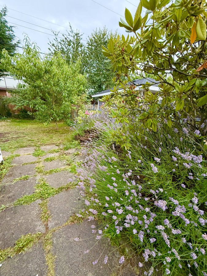 1809 Laval Avenue - Photo 20