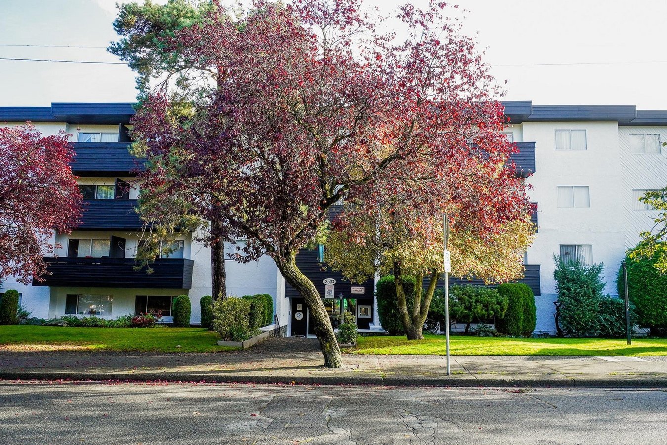 Rentals.ca ) Victoria Apartments, Condos and Houses For Rent