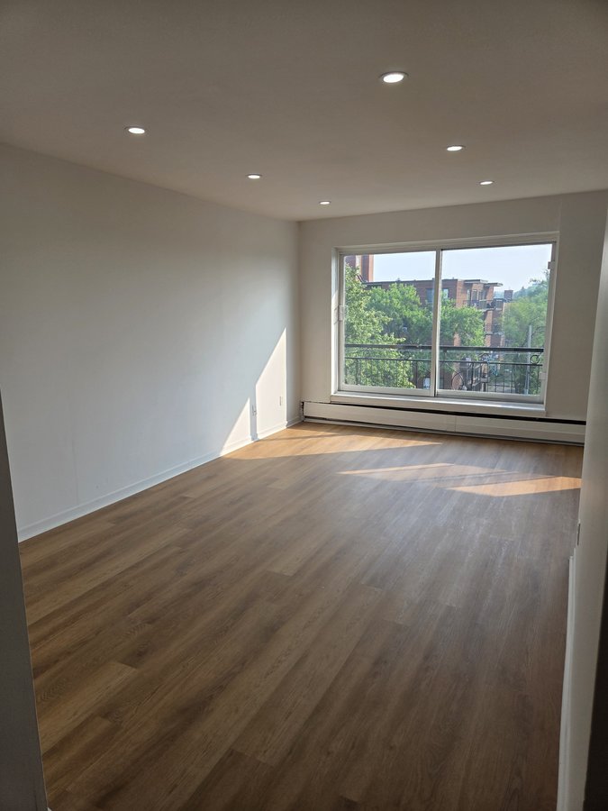250 Boulevard Alexis-Nihon - Photo 1