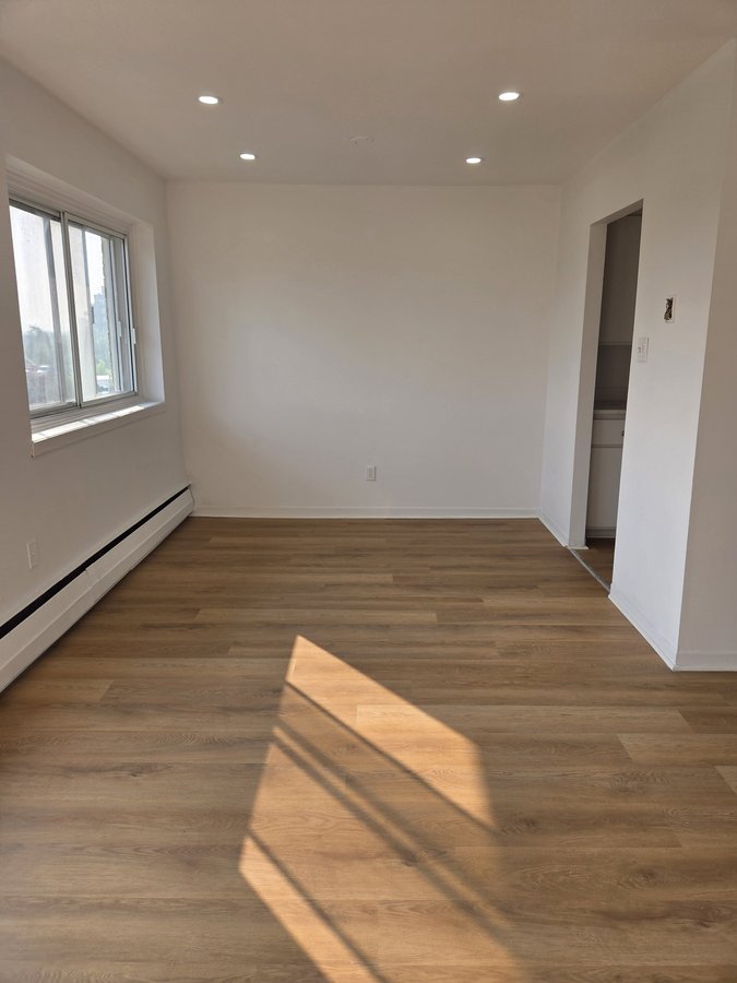 250 Boulevard Alexis-Nihon - Photo 3