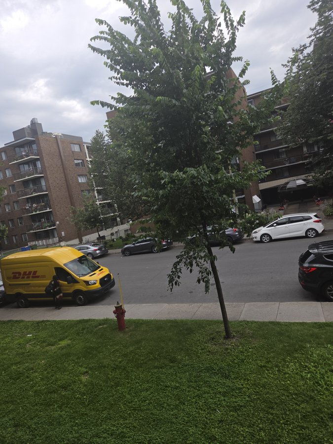 10355 Avenue de Bois-de-Boulogne - Photo 1