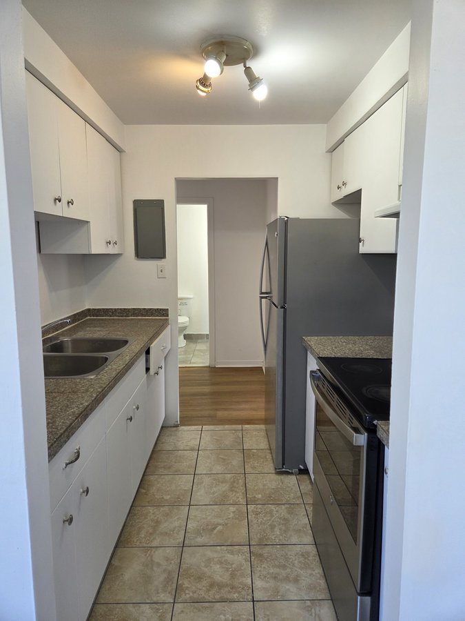 250 Boulevard Alexis-Nihon - Photo 4