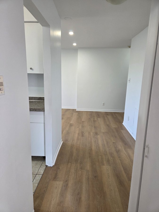 250 Boulevard Alexis-Nihon - Photo 8