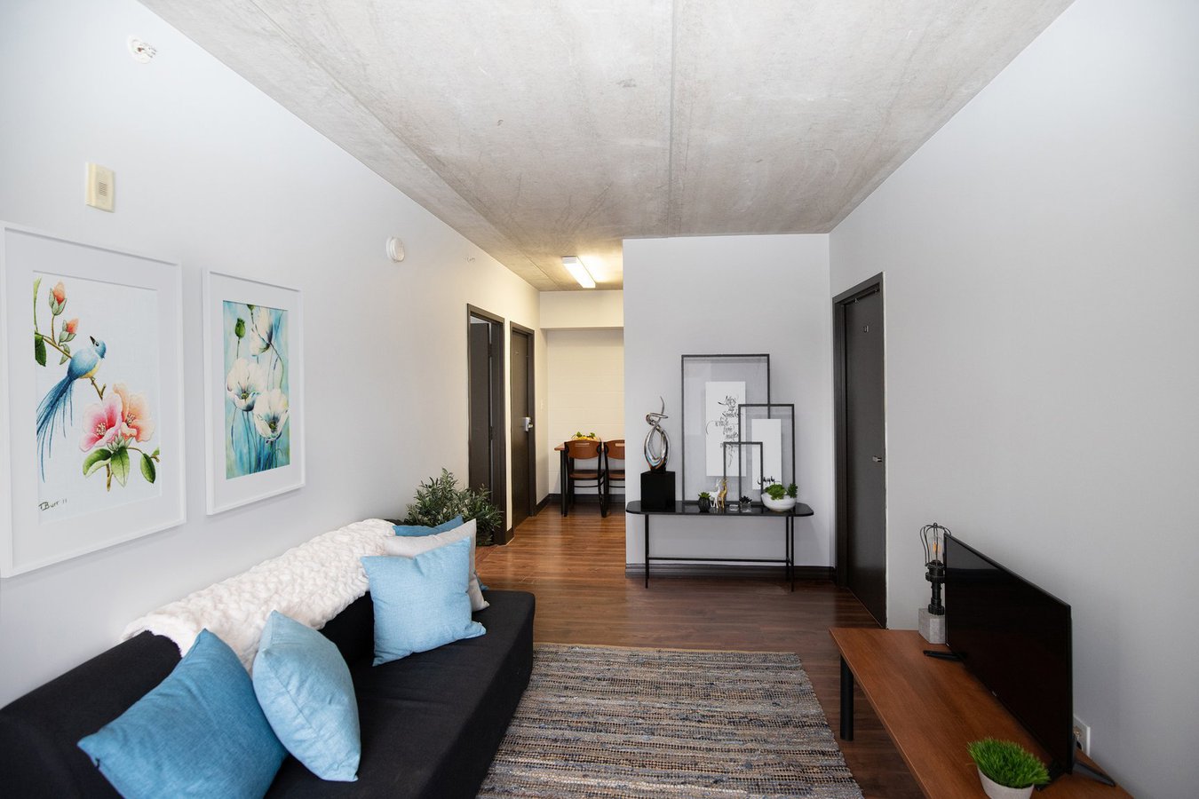 Waterloo 1 Bedroom Apartments Condos and Houses for Rent Waterloo 1 Bedroom Apartments Condos and Houses for Rent