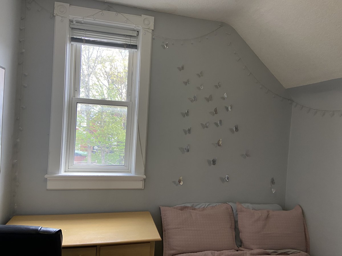 Waterloo 1 Bedroom Apartments Condos and Houses for Rent