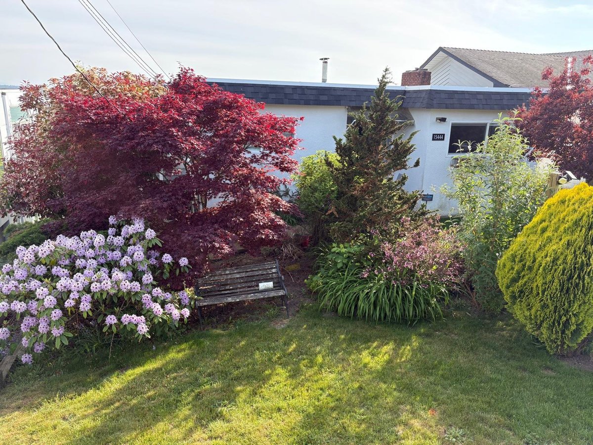 15444 Royal Avenue - Photo 8