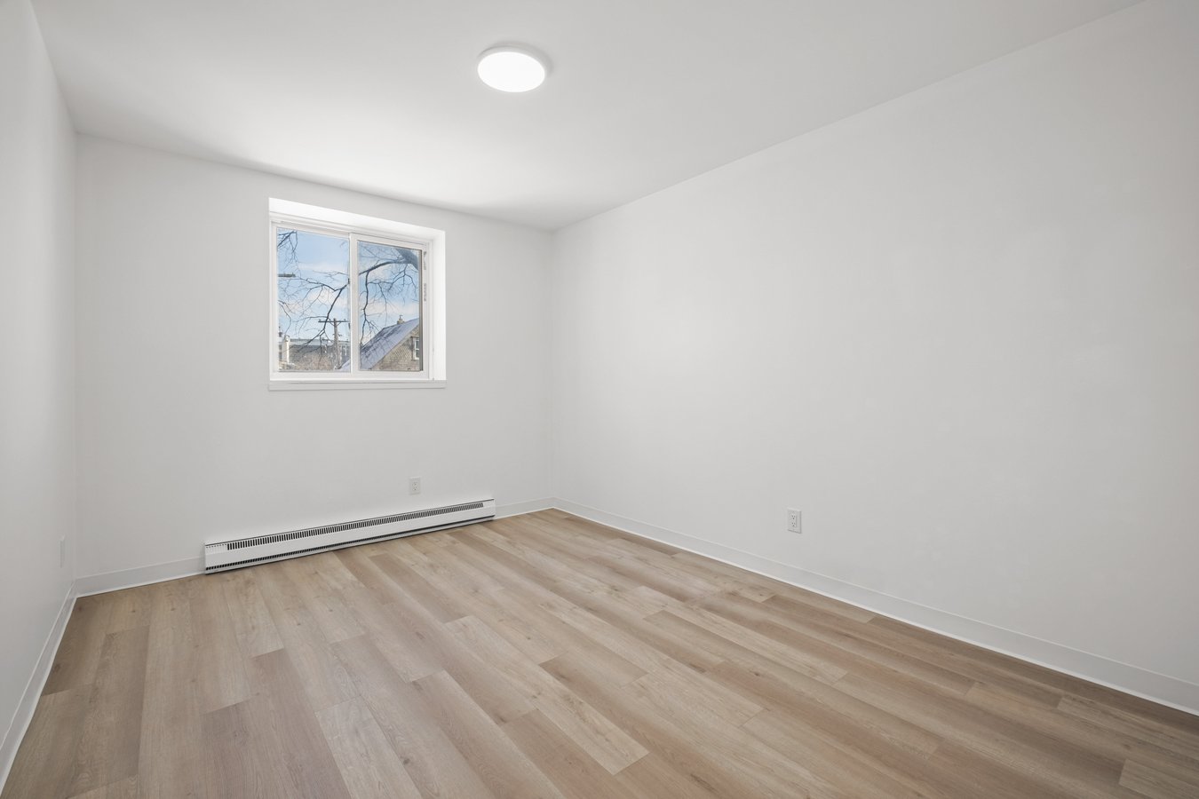 800 Beverley Street - Photo 14