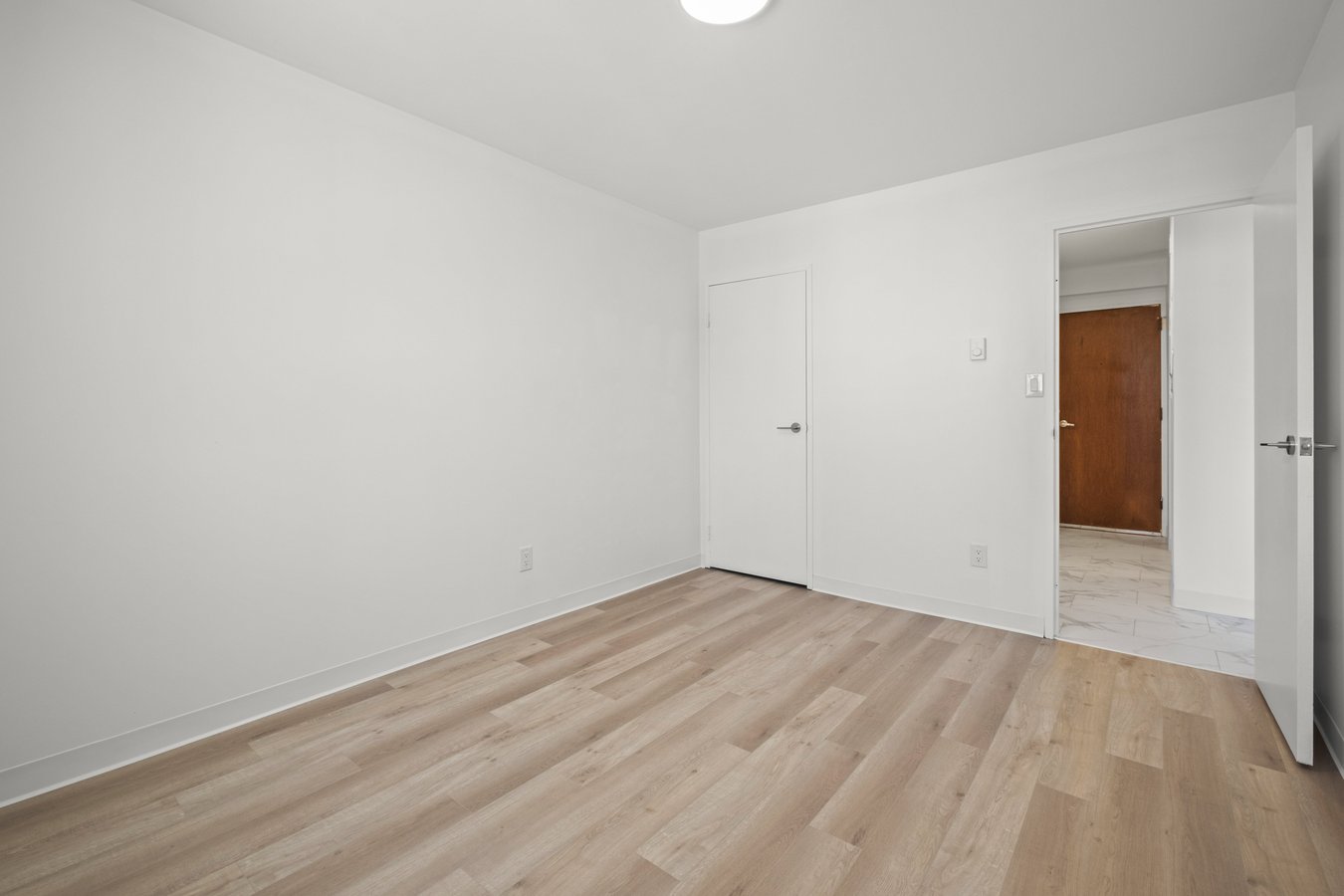 800 Beverley Street - Photo 17