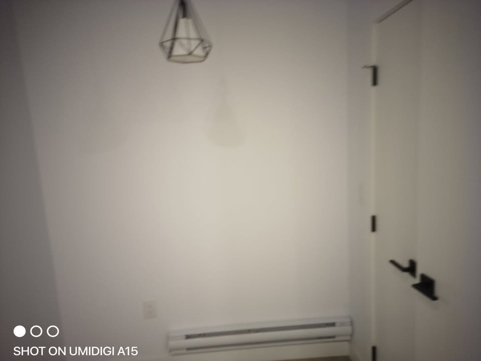 1046 Royse Avenue - Photo 7