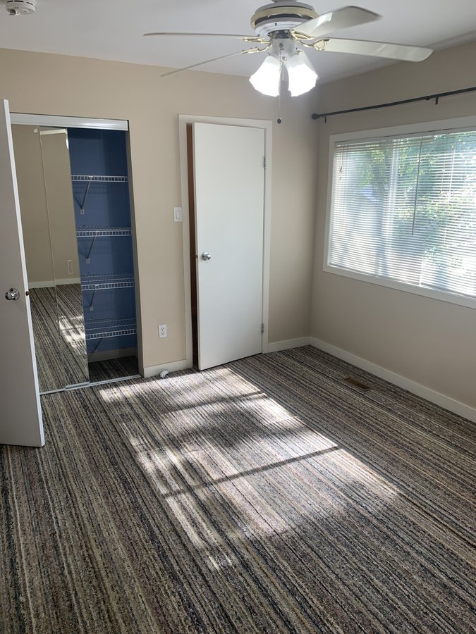 533 Rathgar Avenue - Photo 8