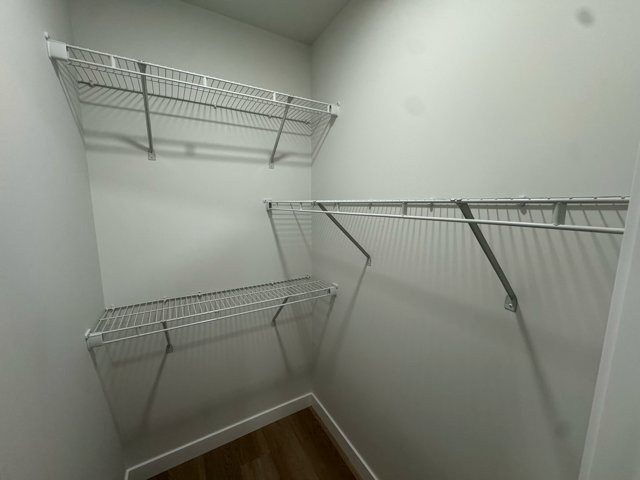 33 Stranmillis Avenue - Photo 12