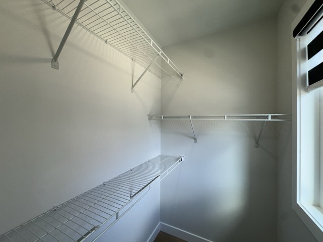 33 Stranmillis Avenue - Photo 11