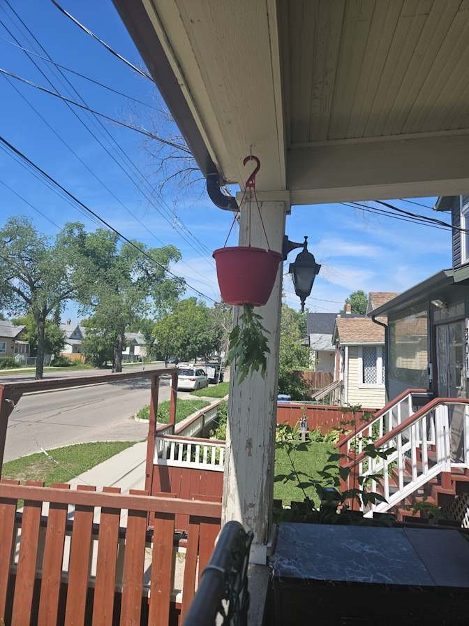 Burrows Avenue - Photo 4