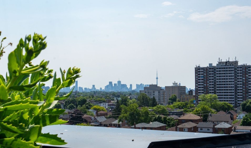 2433 Dufferin Street - Photo 3