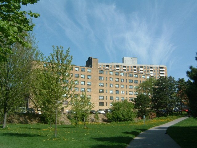 4075 Old Dundas Street - Photo 5