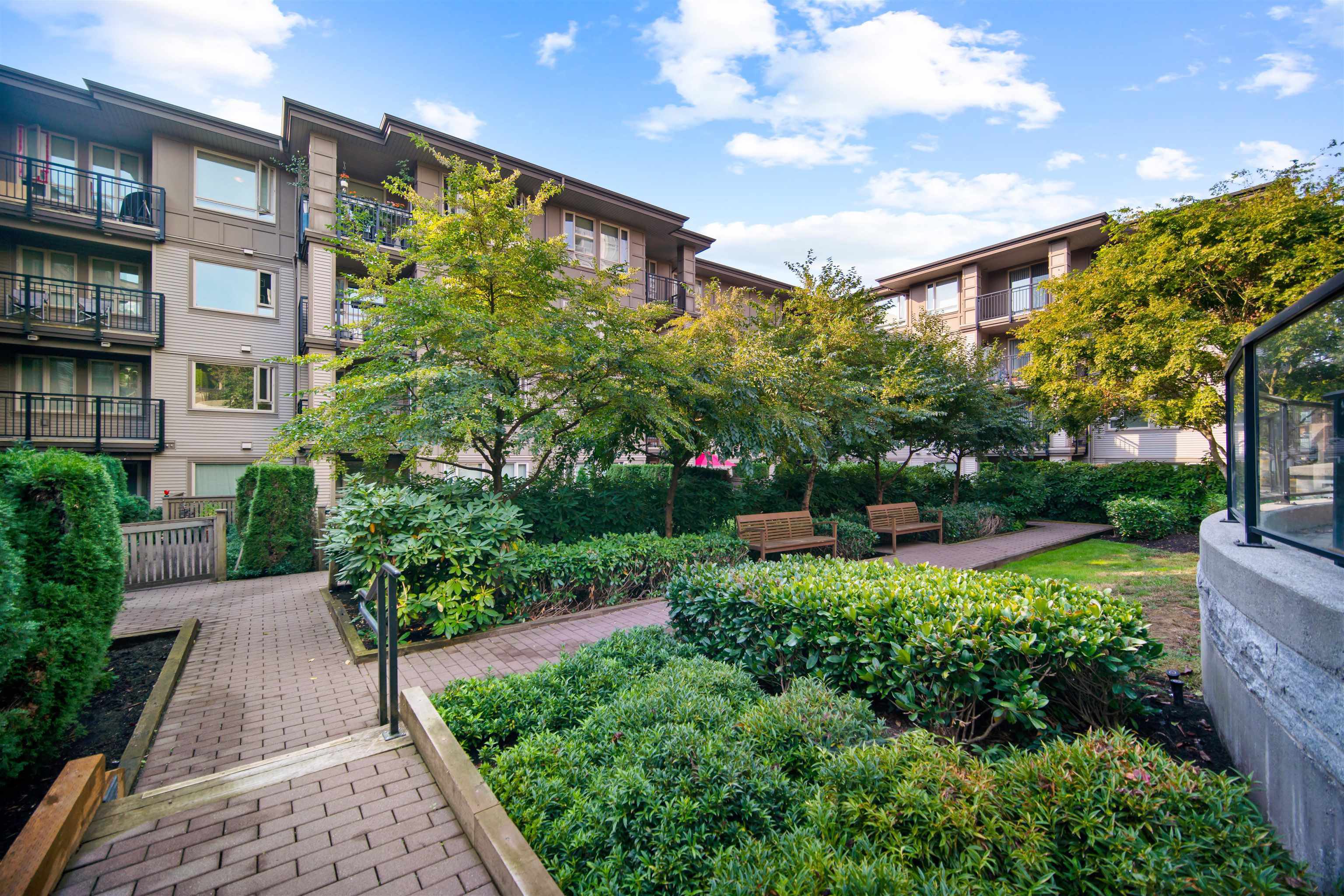 3105 Lincoln Avenue, Coquitlam, BC Apartment for rent