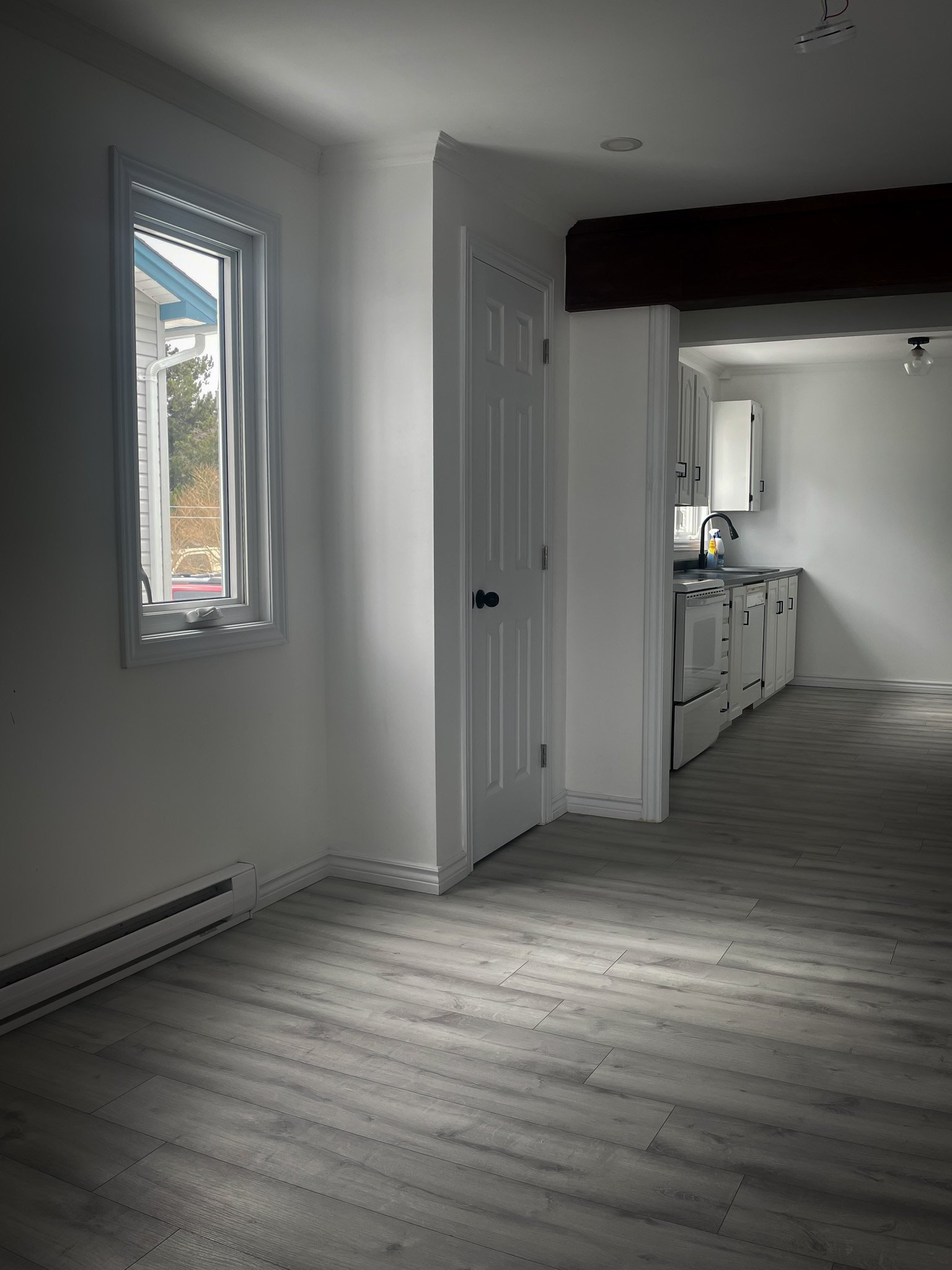 15 Delaney Avenue, Mount Pearl, NL Apartment for rent