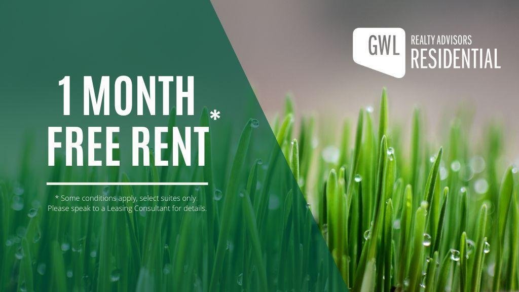 Rentals.ca 20 York Street, Ottawa ON for Rent